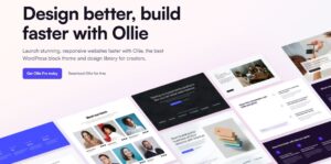 seniorpc78 wp theme OLLIE